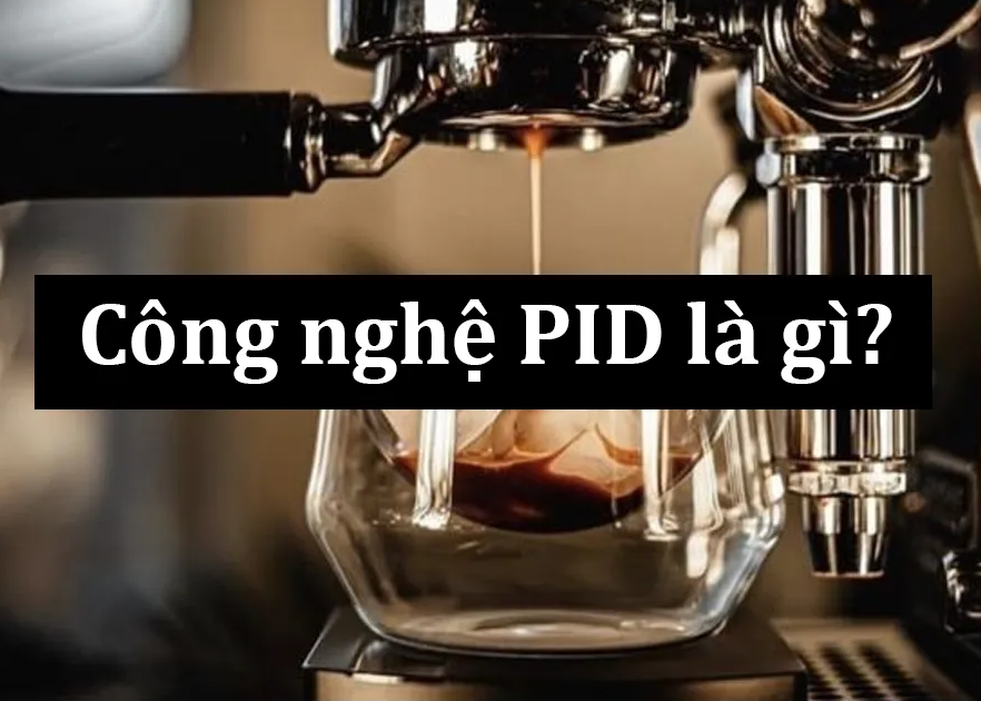 Lợi Ích Của PID Trong Pha Cà Phê Và Khám Phá MCB 3001